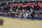 Quadrille - 00943